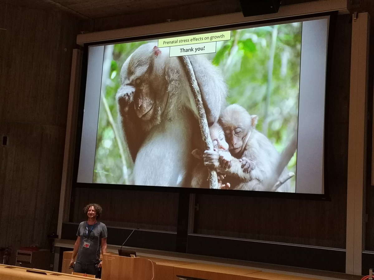 Domestication Lab Vienna tweet media