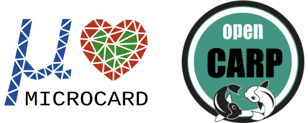 Axel Loewe (axel-loewe.bsky.social) (@axel_loewe) on Twitter photo Looking for a new challenge in Research Software Engineering? Join <a href="/CaMo_KIT/">CaMo KIT</a> and the <a href="/P_Microcard/">Project MICROCARD</a> <a href="/EuroHPC_JU/">EuroHPC Joint Undertaking</a> Center of Excellence to advance @openCarp!
Job post and application details:
pse.kit.edu/english/karrie… Looking for a new challenge in Research Software Engineering? Join <a href="/CaMo_KIT/">CaMo KIT</a> and the <a href="/P_Microcard/">Project MICROCARD</a> <a href="/EuroHPC_JU/">EuroHPC Joint Undertaking</a> Center of Excellence to advance @openCarp!
Job post and application details:
pse.kit.edu/english/karrie…