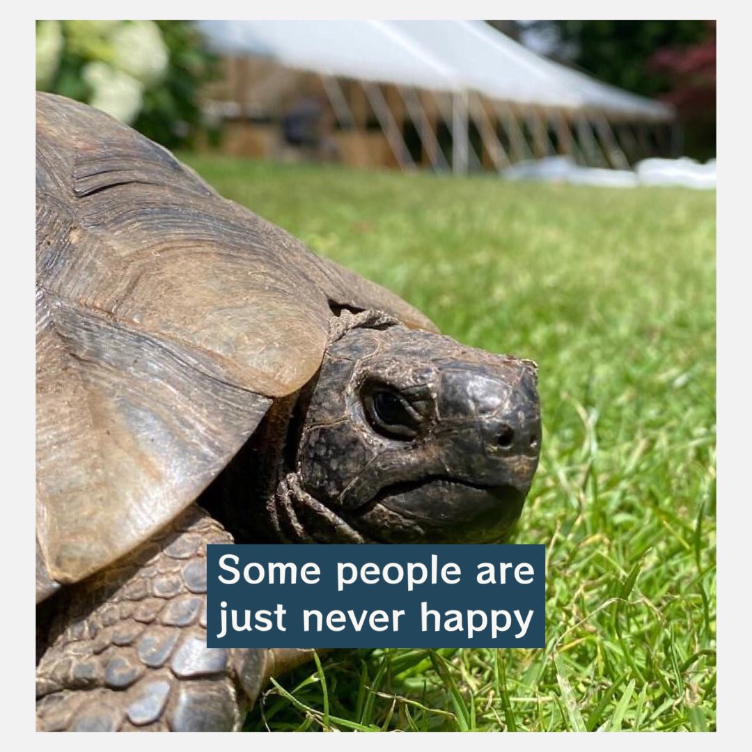 County Marquees tweet media