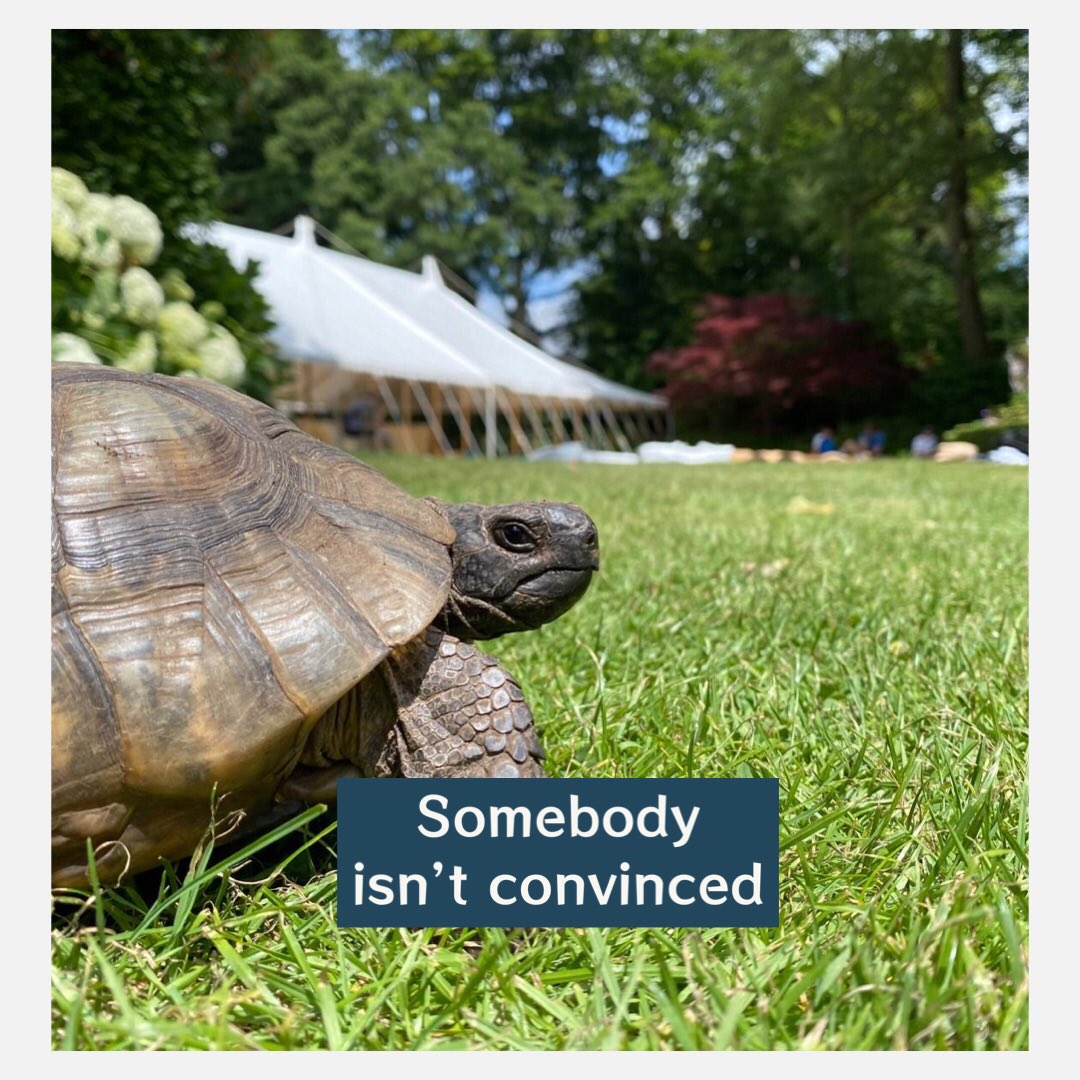 County Marquees tweet media