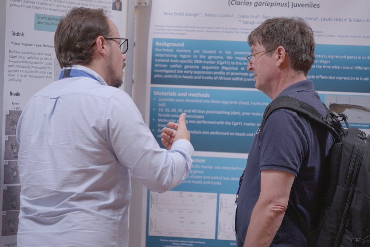 Fish Gametes 2024 tweet media