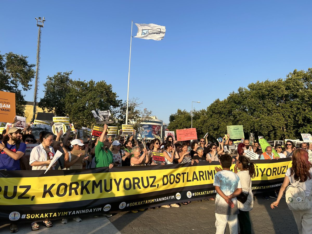 marksistorg's tweet photo. Katliam yasası mecliste: AKP-MHP dayatıyor, muhalefet ve aktivistler 'hayır' diyor

Sokak hayvanlarının katledilmesini içeren yasa teklifinin komisyonda görüşülmesi üzerine hem meclis önünde hem de dışında ve birçok şehirde protestolar yaşanıyor.

https://t.co/m2DL1rDPUp https://t.co/fVZmJtE6RH