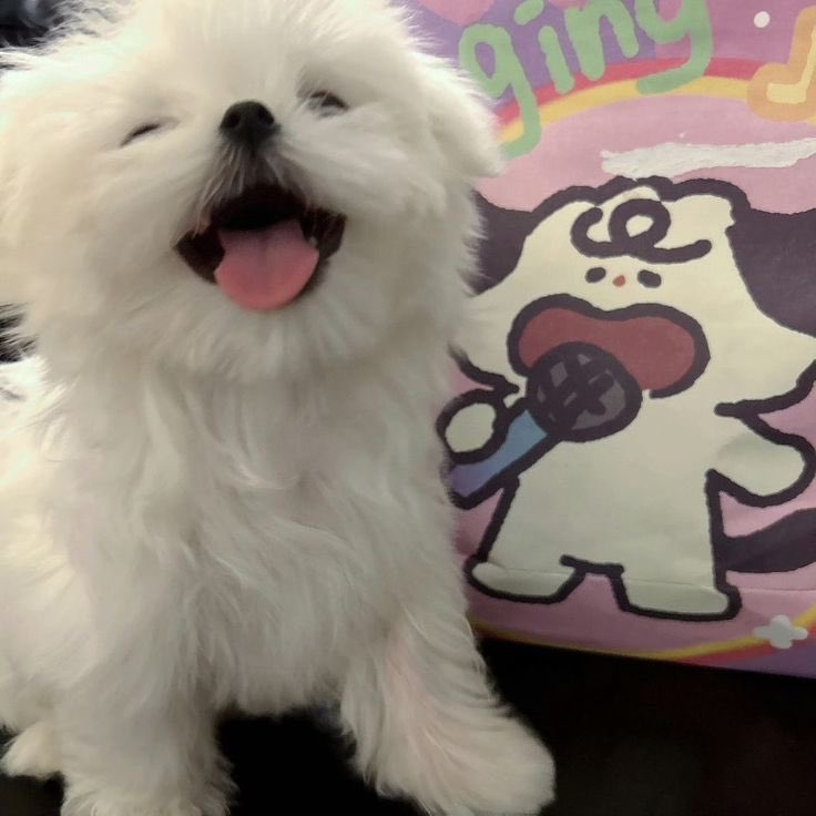 twaniimals's tweet photo. 💜 https://t.co/3orv60Fjmm