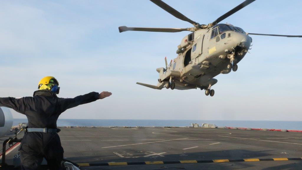 RFA LYME BAY tweet media