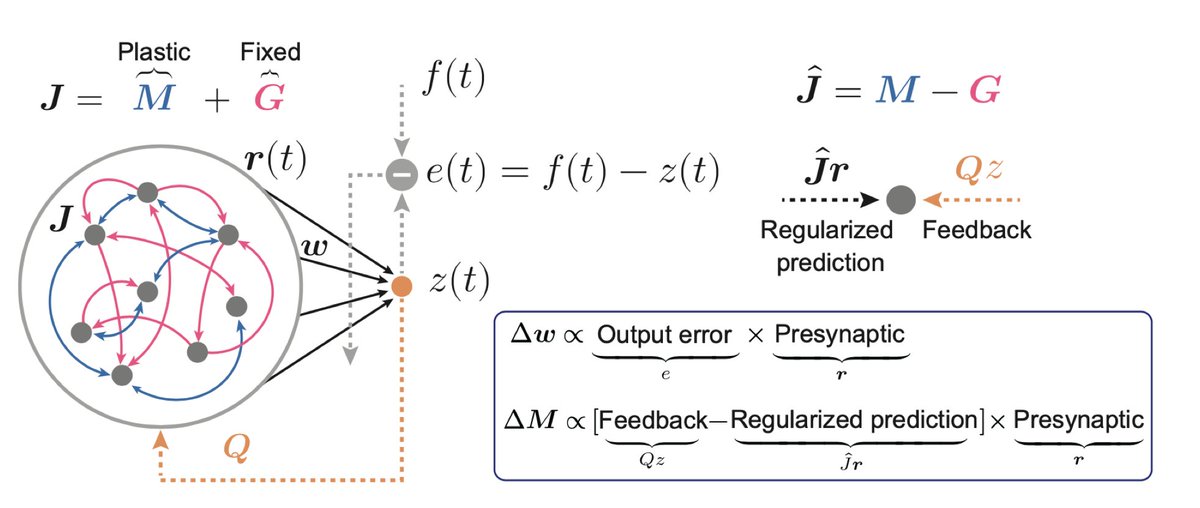 Toshitake Asabuki (@tasabuki) on Twitter photo How can a biologically plausible synaptic plasticity rule tame the chaos in recurrent neural networks?
Check out our latest preprint in <a href="/ClopathLab/">ClopathLab</a>!
biorxiv.org/content/10.110… How can a biologically plausible synaptic plasticity rule tame the chaos in recurrent neural networks?
Check out our latest preprint in <a href="/ClopathLab/">ClopathLab</a>!
biorxiv.org/content/10.110…