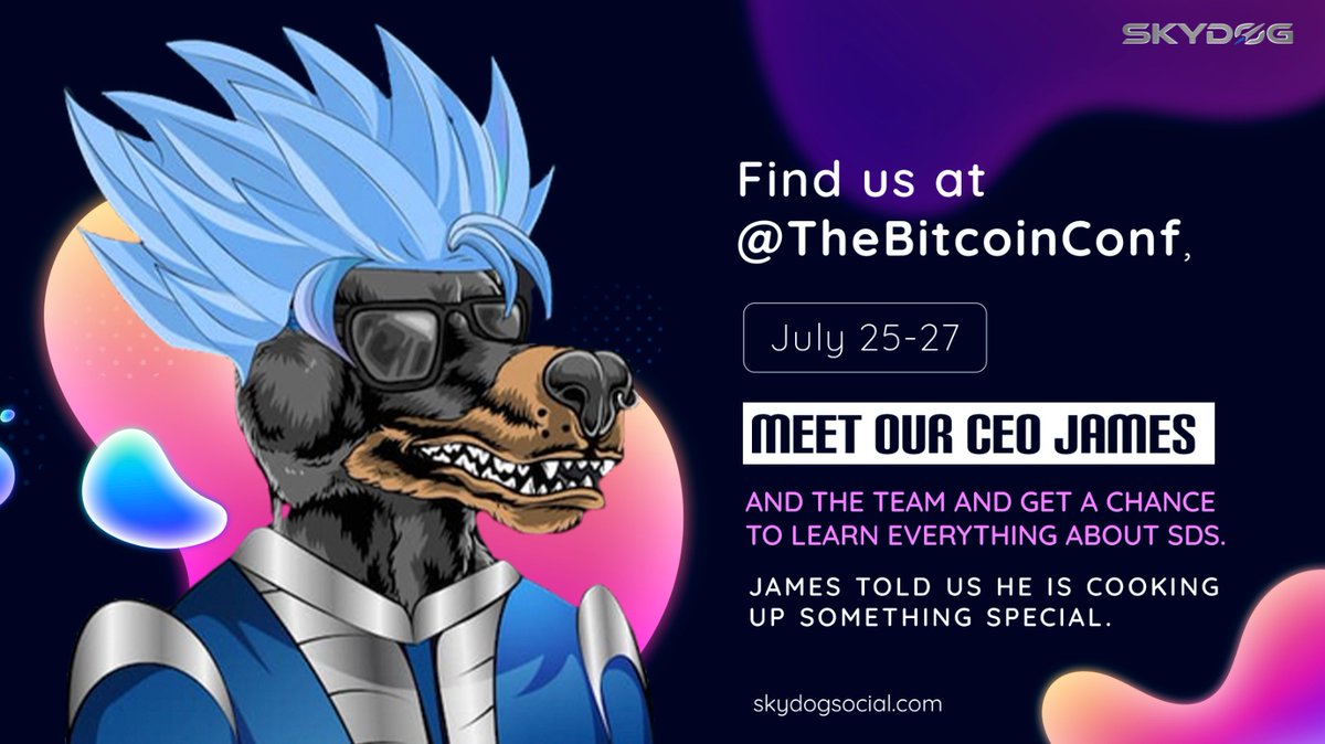 SKYDOG SOCIAL tweet media