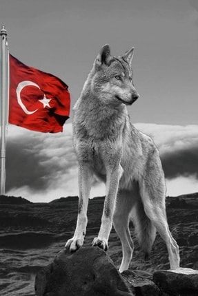 KaranliginKizi7's tweet photo. DOĞRU SÖZE NE DENİR Kİ !
AYNENNN 👍
ÇÜNKÜ !
HEPSİNİN #KANI #MAYASI #SOYU #CİBİLİYETİ BOZUK.....
HİÇ BİRİ !
#TÜRK DEĞİL !
#MÜSLÜMAN DEĞİL !
#İSLAMİ DEĞİL !
HEPSİ #VATAN HAİNİ....
#KRİPTO DEVŞİRMELER #SÜRÜSÜ https://t.co/t5UcjJOYr5