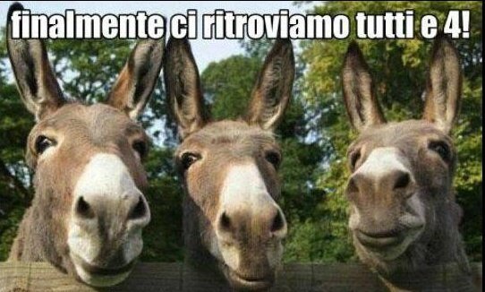 Asso_di_Quadri's tweet photo. @SardoneSilvia Quando una ipocrita leghista sputa sul piatto dove mangia, ella vale quanto il suo sputacchio.♦️
#blablabla #papponi #18Luglio https://t.co/L24w5HSbKD
