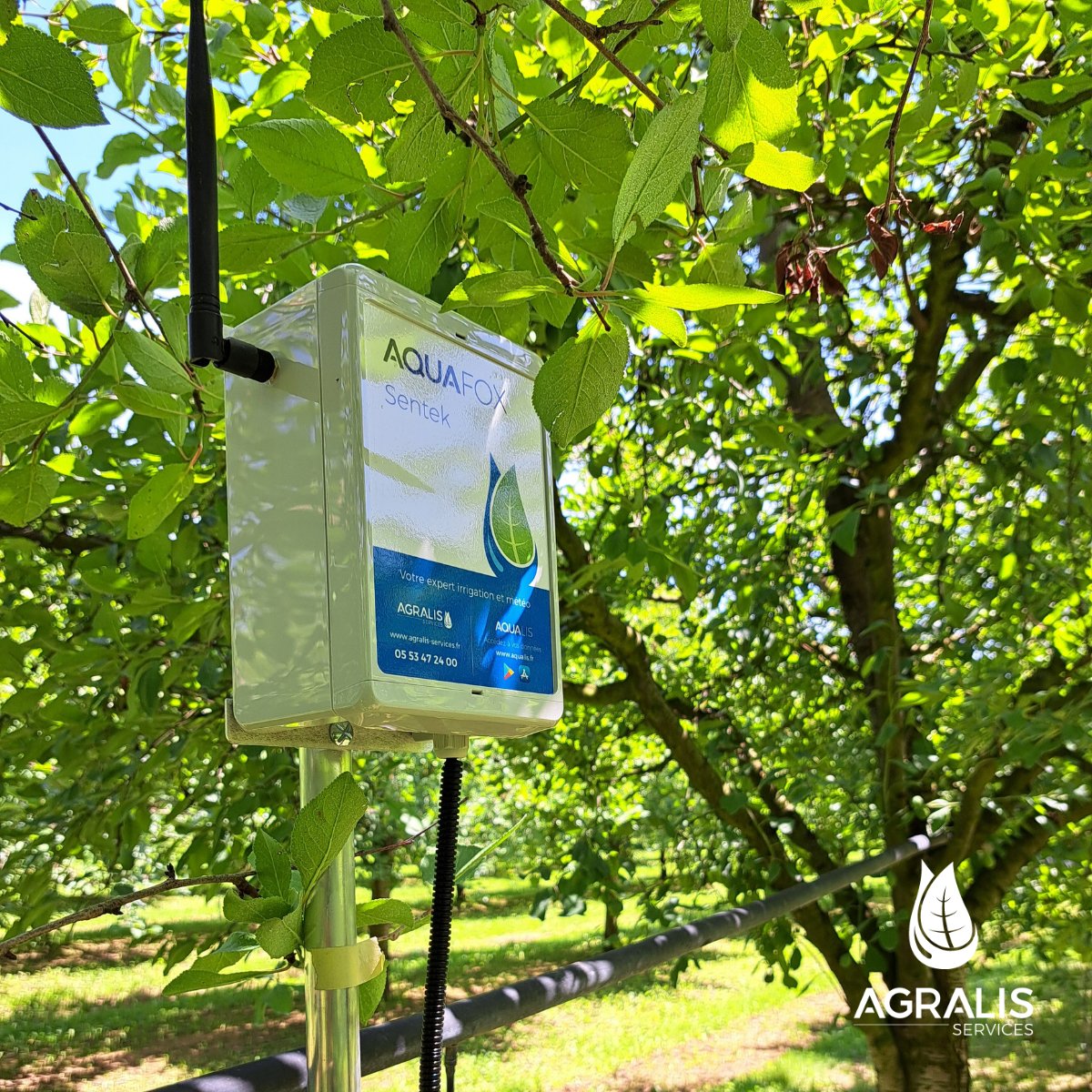 📍 Ste-Livrade-sur-Lot, 47

Swipe pour voir l'installation par Robin d'une sonde <a href="/SentekTech/">Sentek Technologies</a>💧avec son boîtier, dans des noisetiers !

#lotetgaronne #equipement #agriculteurs #Sentek #irrigation #humidite #sonde #sudouest #noisettes #stelivradesurlot
