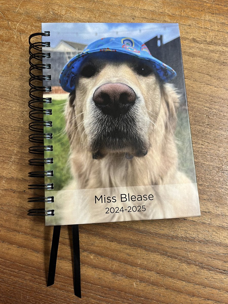 The final week of school means planning for next year and that means a new teacher planner! It has now become tradition for Pablo to come to school with me every day ❤️🗓️ #teacherplanner <a href="/Pirongs/">Pirongs - Diary and Planner Specialists</a>