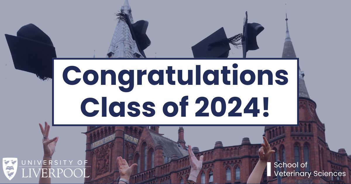 A heartfelt congratulations to our amazing new <a href="/LivUniVetSchool/">UoL School of Veterinary Science</a> graduates! 🎓

May your future be filled with successful careers, countless wagging tails, and purrs of gratitude! 🐶🐱

Watch the ceremony here: bit.ly/4cKXcQt
#LivUniGrad | #ClassOf2024