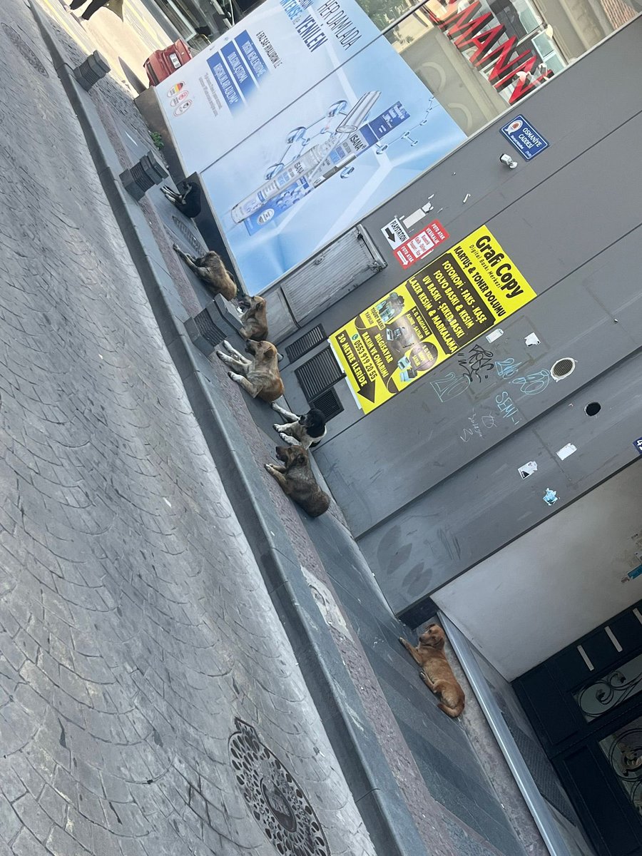 Samsun Merkez Geçebilen Buyursun Geçsin !