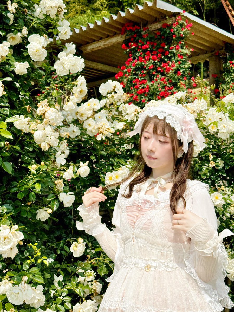 Ffff0904's tweet photo. 白薔薇とロリィタ🌹
 #ロリィタ https://t.co/nNZNcwVunZ