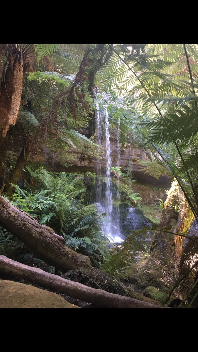 sheigagli's tweet photo. Russell Falls in Tasmania #water #relax #relaxing #nature #Holiday #Tasmania #tassie #russellfalls
To see the video click on:
https://t.co/y22VNmuGxG https://t.co/T23BwES4lr