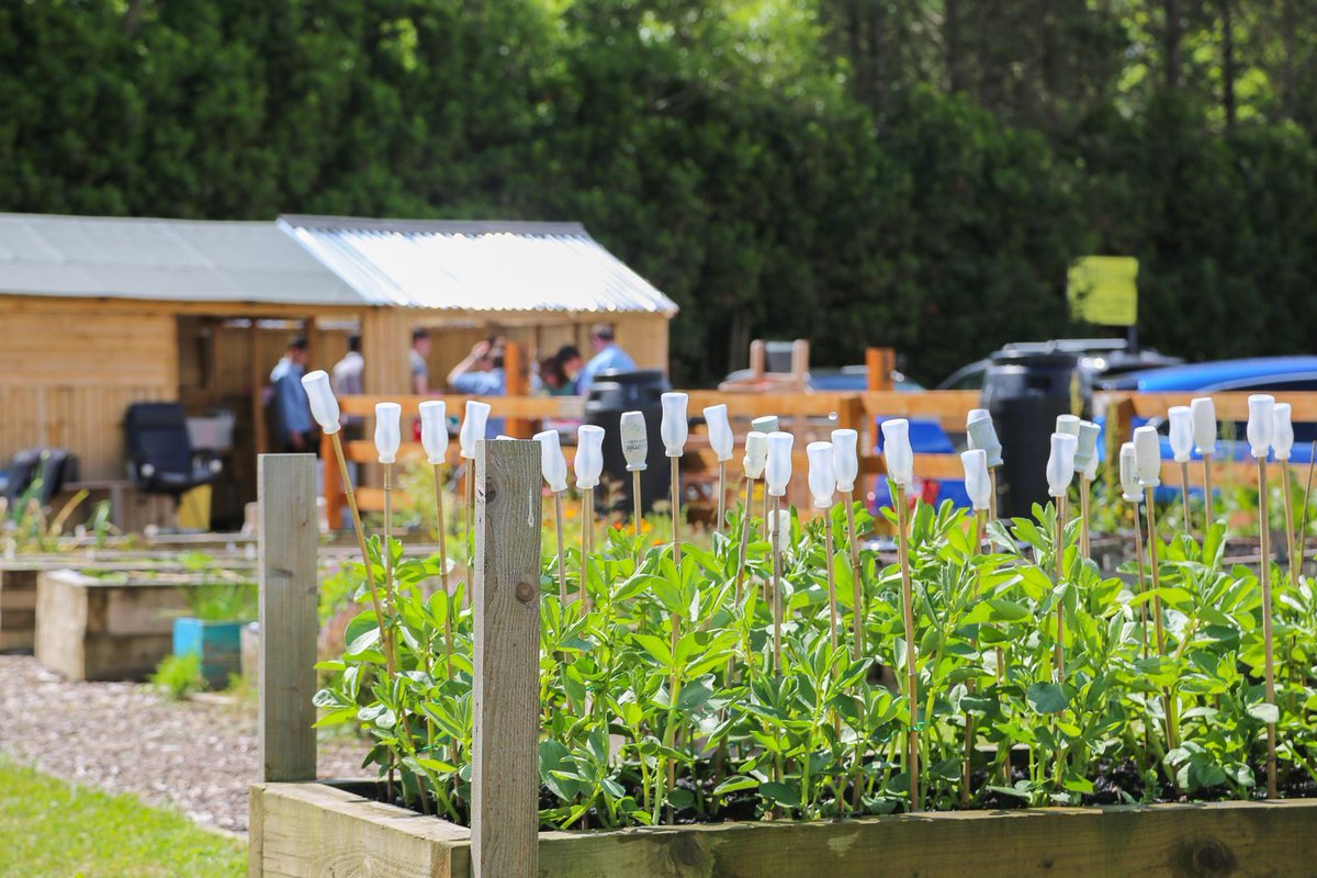 Foothold Cymru tweet media