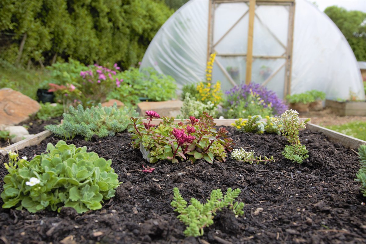 Foothold Cymru tweet media