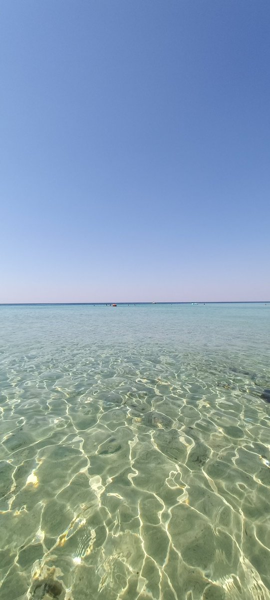 Luke_7807's tweet photo. BENVENUTI IN PARADISO
#PuntaProsciutto
#Salento https://t.co/SmMCN4dryB