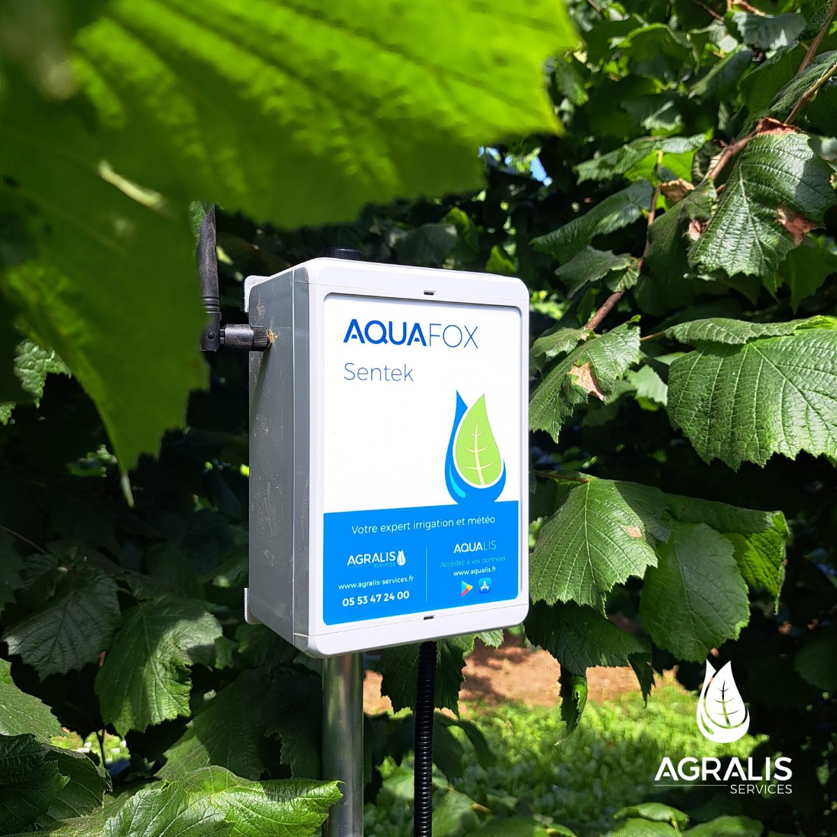 Quels sont les avantages de notre boitier AQUAFOX ? 🤔

📲Visualisation des données en temps réel sur notre application Aqualis

🌦️Boitier évolutif : possibilité de rajouter des capteurs météo à la demande

💻Option récupération des données via API possible

#avantages #donnees