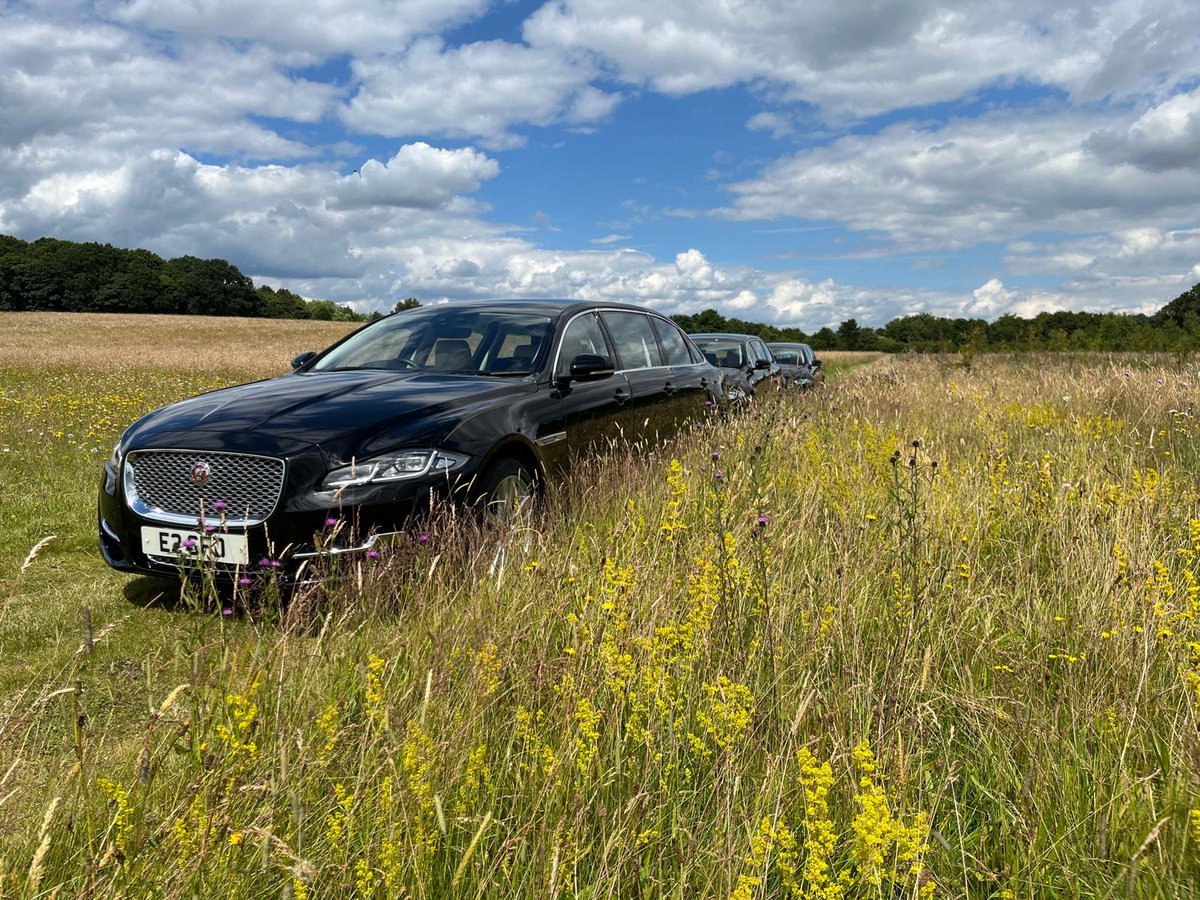 With the weather starting to warm up, we couldn't resist posting this pictures of our limousines looking their best among the wild flowers at Tithe Green Natural Burial Ground in Oxton in #Nottinghamshire.

Such a lovely place to visit!