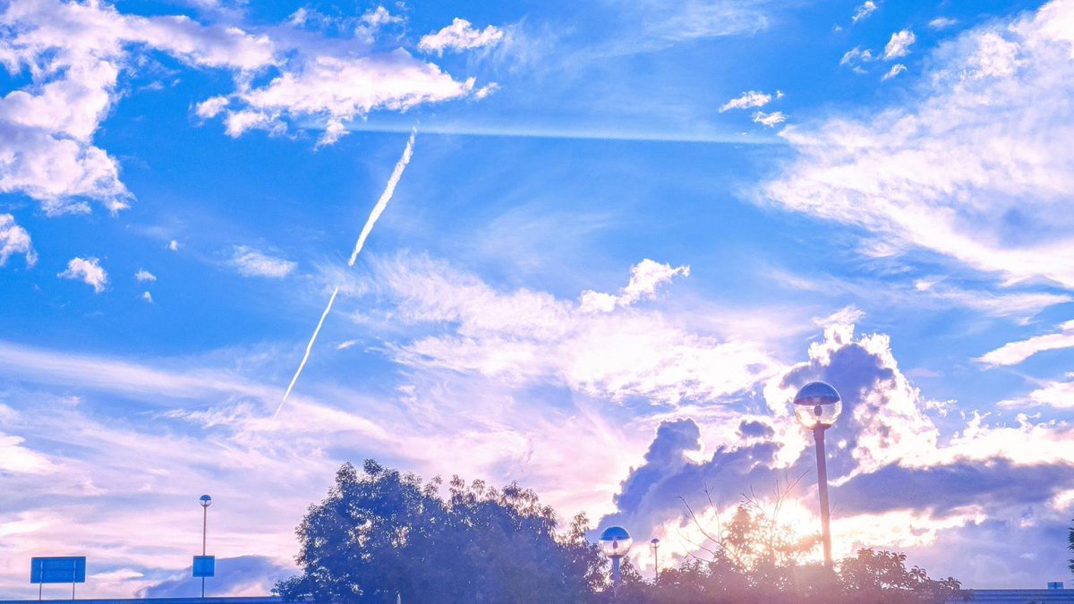 Sorani___Ao's tweet photo. 消えたくなって思い出した
君の声と、咽せる夏。 https://t.co/JFw7cc8cY4