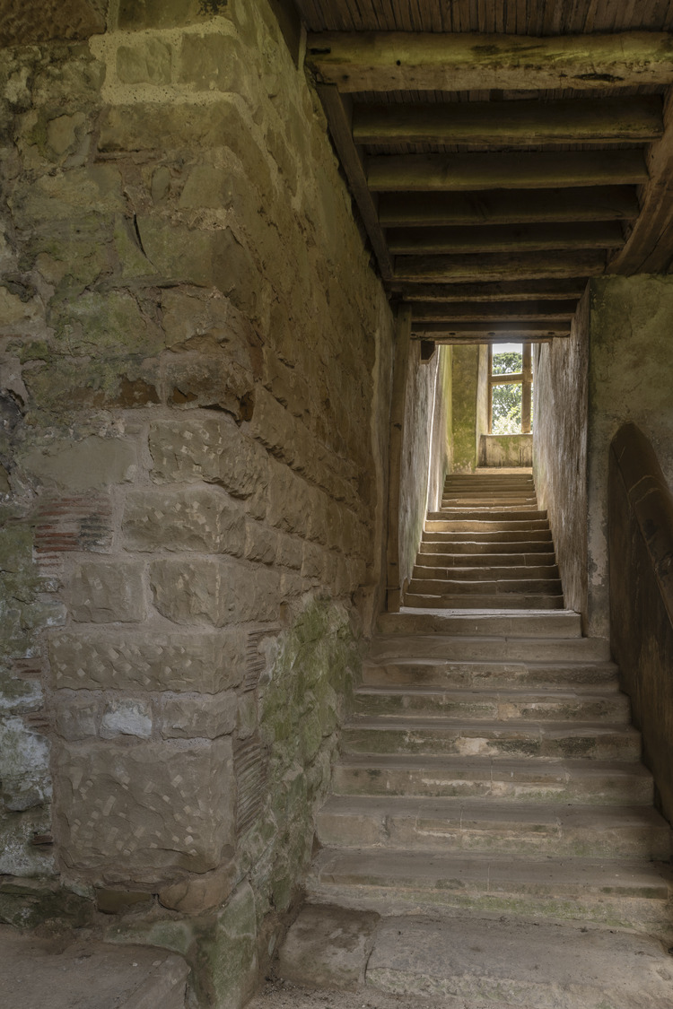 Donald Insall Associates tweet media