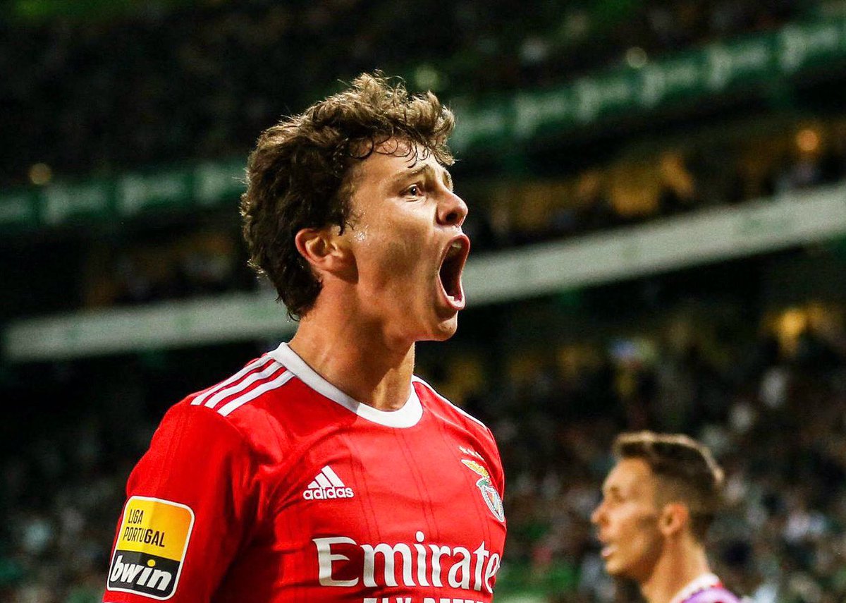 FabrizioRomano's tweet photo. 🔴🔵🇵🇹 Paris Saint-Germain are ready to advance in talks with Benfica for João Neves after player’s green light.

João wants the move, PSG believe they are ahead of Premier League clubs; talks taking place with Benfica.

No club-to-club agreement yet but negotiations continue. https://t.co/78c7ZxSqra