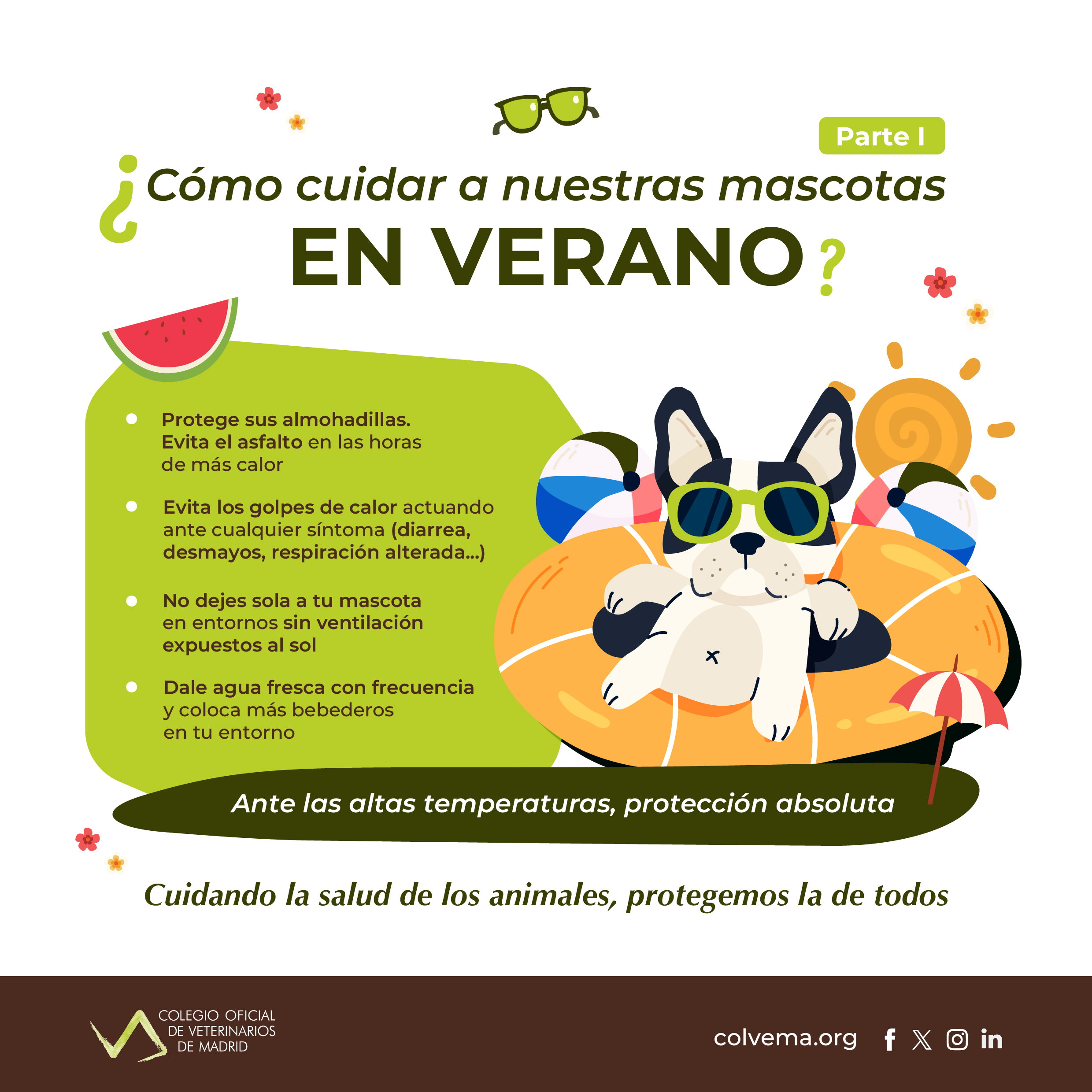 Foto cedida por Colegio de Veterinarios de Madrid