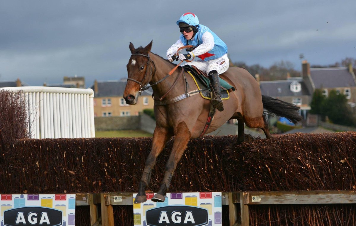 Northern Area Point to Point (@northernareap2p) on Twitter photo Wishing the very best for the future to <a href="/phillip_dennis/">Phil Dennis</a>.
Here he is back in 2014 winning a P2P at Friars Haugh for <a href="/K_scottracing/">Katie Scott Racing</a>. Wishing the very best for the future to <a href="/phillip_dennis/">Phil Dennis</a>.
Here he is back in 2014 winning a P2P at Friars Haugh for <a href="/K_scottracing/">Katie Scott Racing</a>.