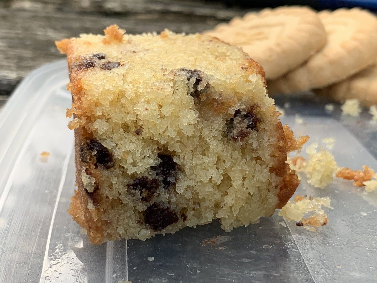 51stpellon tweet media