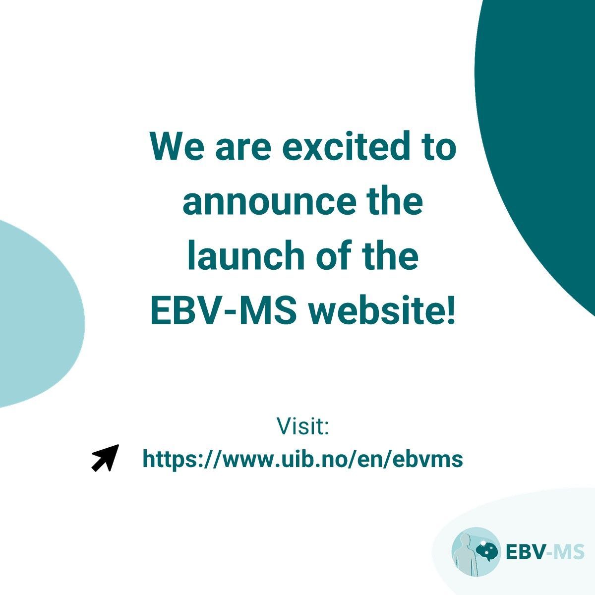 eumsplatform's tweet photo. 🚀 Excited to announce the launch of the new EBV-MS project website targeting #EpsteinBarrVirus to uncover its role in #MultipleSclerosis!
🧠Led by @UiB, this EU-funded research aims to revolutionise MS treatment and prevention
➡️Visit: https://t.co/lOI02UNrcI
#EBVMS #HorizonEU https://t.co/YuyxvjAvgQ