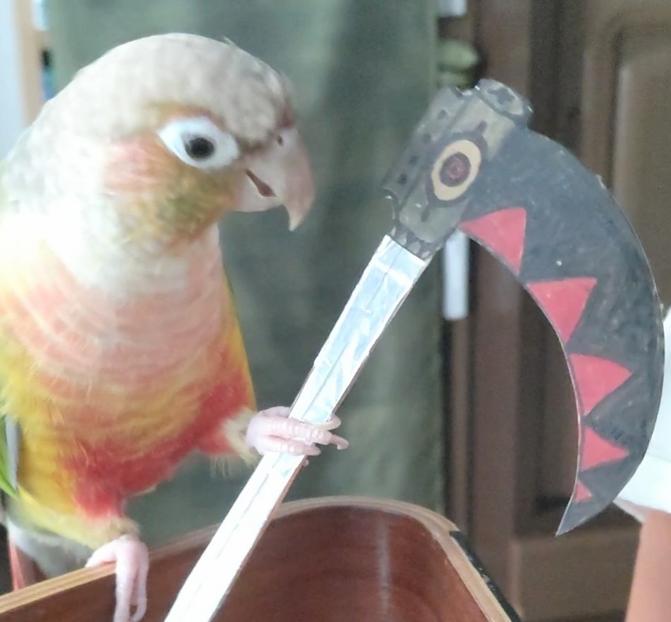 sN5XKML2skEBBn6's tweet image. ソウルイーターくん
ぼくとちょっと似ていない？👀