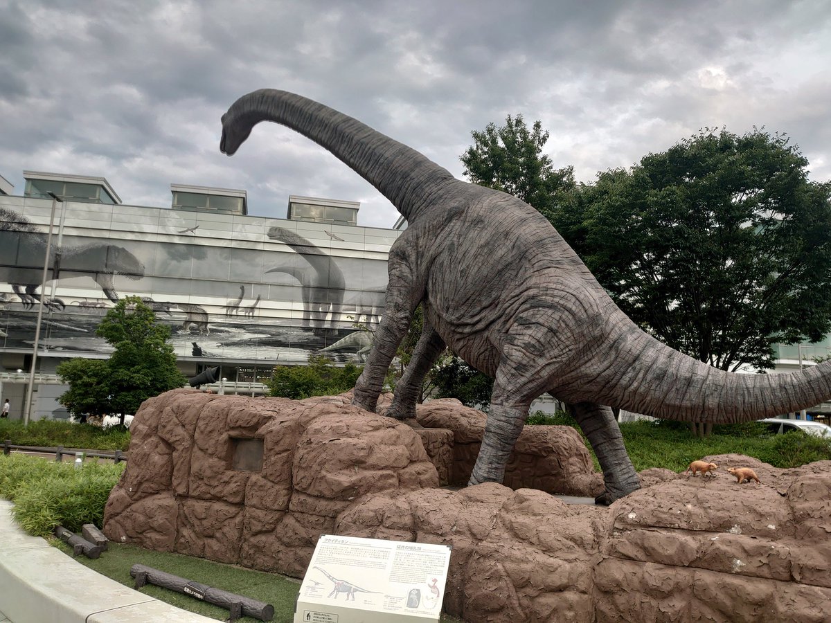 nictama299's tweet photo. ノープラン旅行、福井に来ました。 https://t.co/5z1M2CEeMg