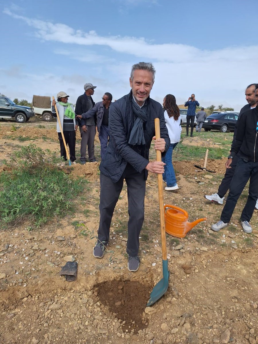 A small tree that will grow up ! Good for the planet #NelsonMandeladay celebrated today in #Asmara. Thanks to South African Ambassador and Embassy.