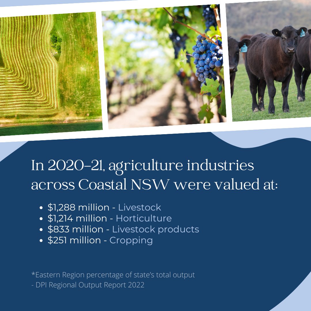 NSW Irrigators' Council tweet media
