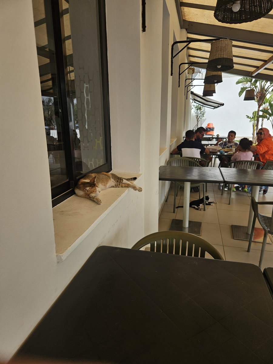 Alighafir2's tweet photo. Oasis Café Aire de Repos Settat, Autoroute A3 🇲🇦 https://t.co/JCQtZUWH3u