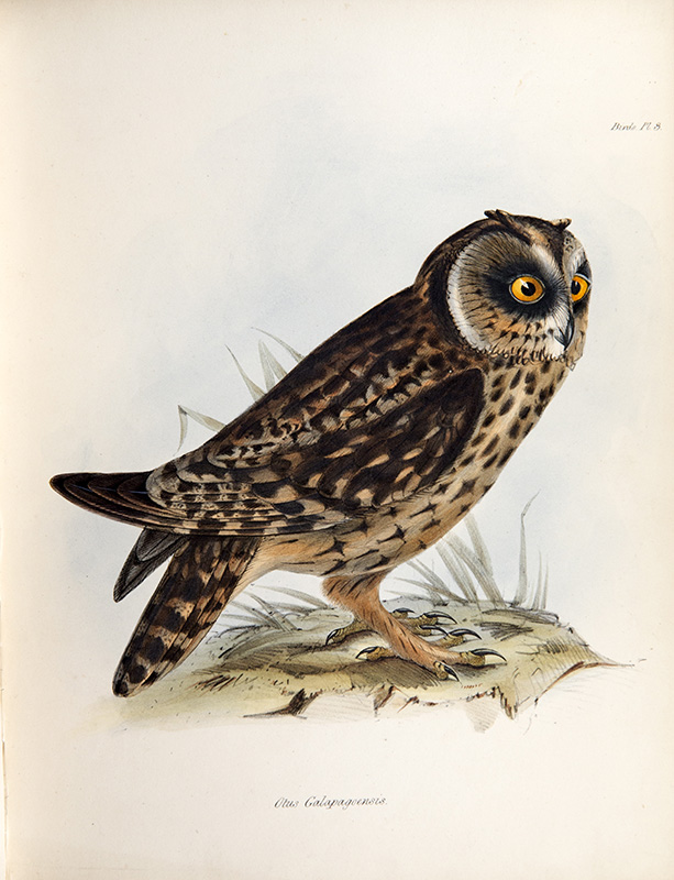 ZSL Library tweet media