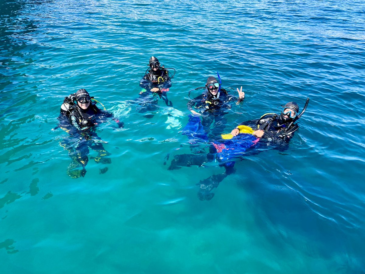 3NuriaTeixido's tweet photo. Late in posting this: 
Great fieldwork to explore how diseases affect #seagrasses #Posidoniaoceanica at CO2 vents #Ischia. 
Lead by @melipalm  &amp; @o_jgraham , with @AliceMirasole, @AntoniaChiarore, and more!
@SznDohrn, SZN-IMC, @HopkinsMarine, @FridayHarborWA https://t.co/RBkeNeTJSg
