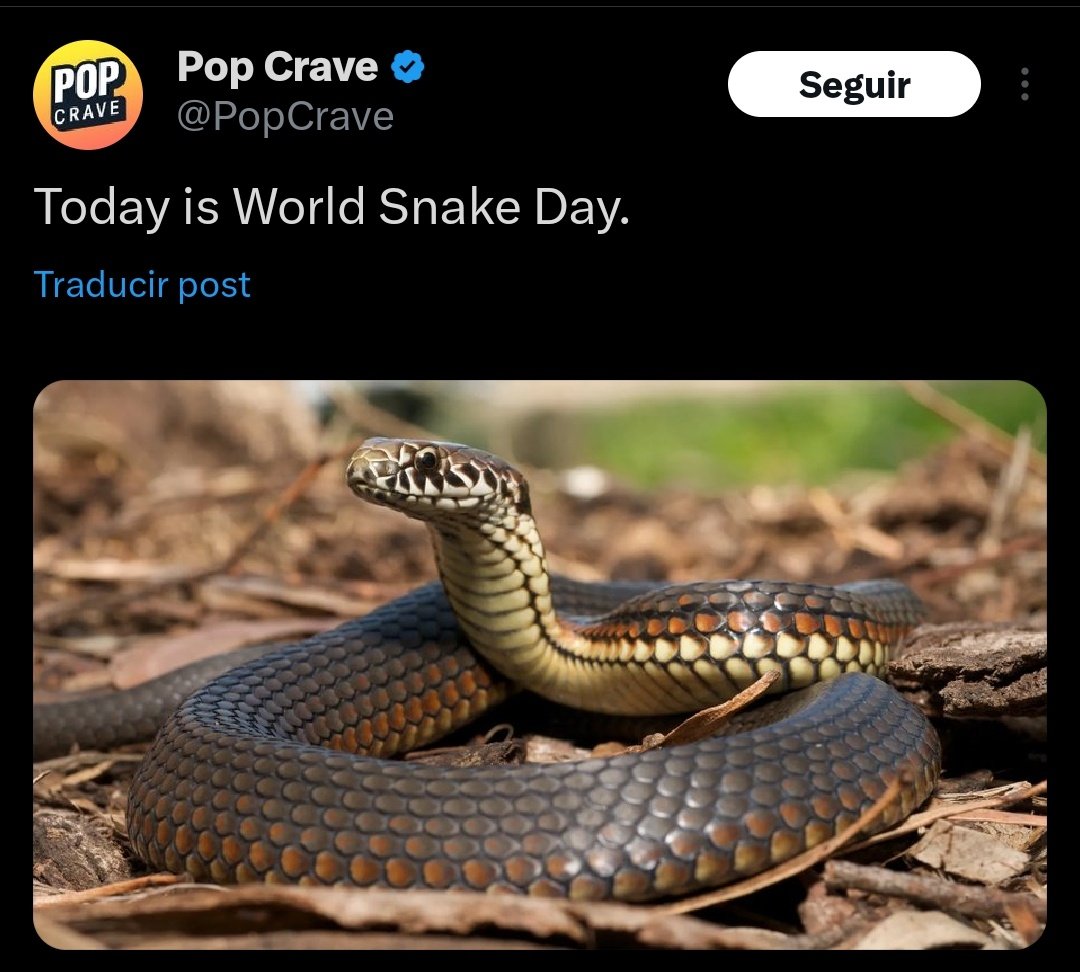 close enough happy birthday <a href="/P0ISONXUS_/">ᅠ◞ ᅠ𝒔erp͟e͟n͟tine ' 𝒔𓂃𝒃𝒊𝒕𝒆ᅠ⋮ᅠ*ᅠ🐍</a>