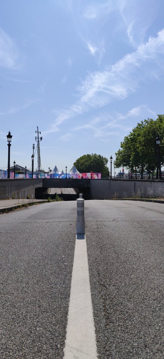 David Dauba tweet media