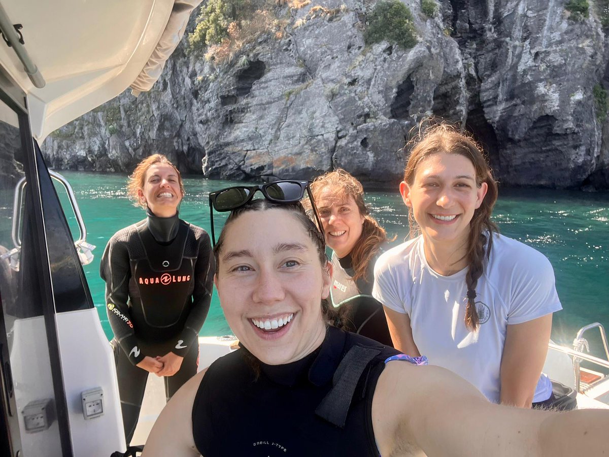 3NuriaTeixido's tweet photo. Late in posting this: 
Great fieldwork to explore how diseases affect #seagrasses #Posidoniaoceanica at CO2 vents #Ischia. 
Lead by @melipalm  &amp; @o_jgraham , with @AliceMirasole, @AntoniaChiarore, and more!
@SznDohrn, SZN-IMC, @HopkinsMarine, @FridayHarborWA https://t.co/RBkeNeTJSg