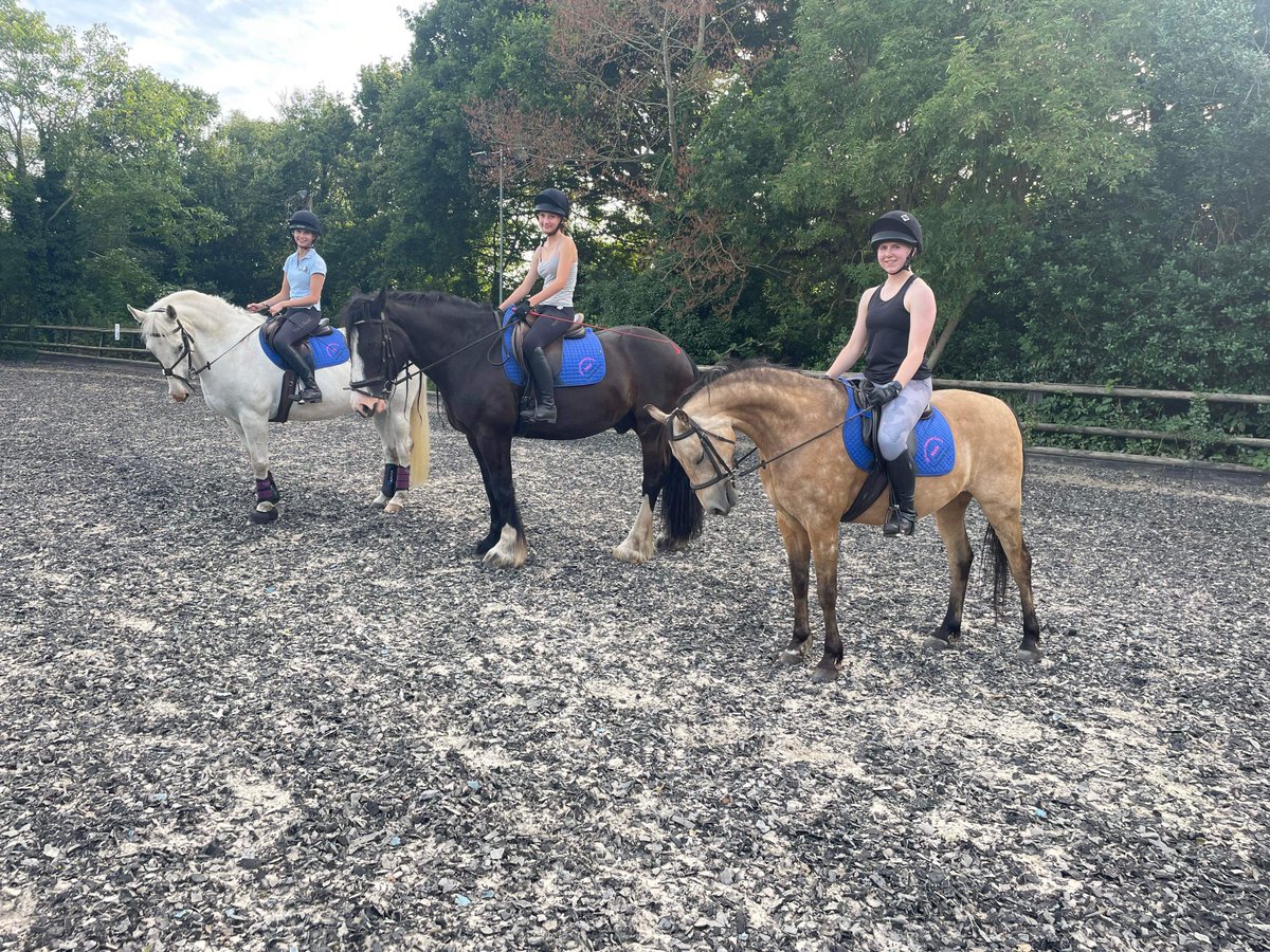 IsuzuUKPR's tweet photo. Press release: Ipswich Isuzu dealer saddles up for Equestrian Centre sponsorship 🐎

https://t.co/DNtOiNlkYZ

#Isuzu #DMax #DrivenToDo #Dealer #Proveeda https://t.co/mMTReDyooD