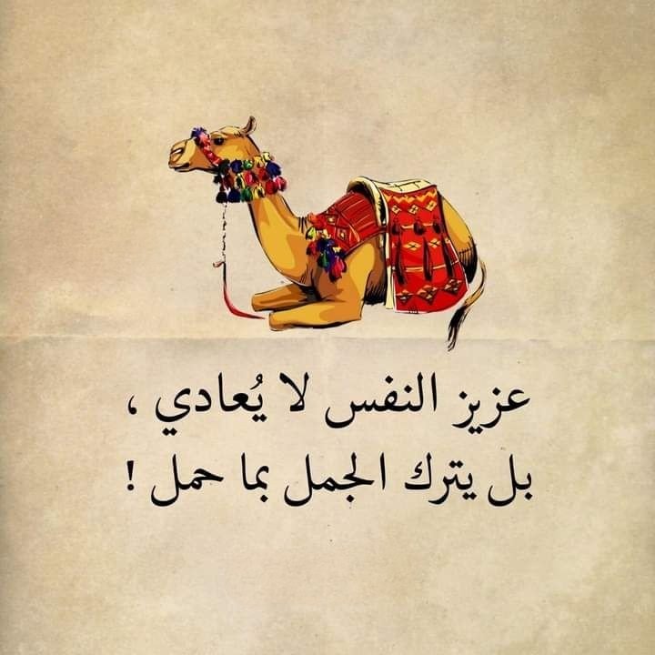 wn194's tweet image. 