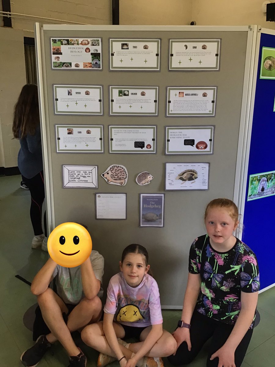 Y5Gayton's tweet photo. We hope lots of visitors have the chance to look at our hedgehog work. @GaytonPrimary @EcoGayton @sosukcharity @EcoSchools @HogFriendly @hedgehogsociety #HFCGold https://t.co/JeIRzVCm6X