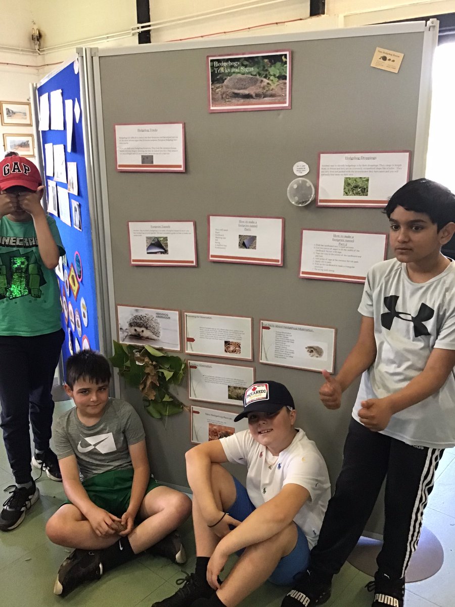 Y5Gayton's tweet photo. We had a lovely day at Thurstaston yesterday. We transferred our exhibition to the Visitor Centre. @GaytonPrimary @EcoGayton @sosukcharity @HogFriendly @hedgehogsociety #HFCGold https://t.co/aQ3JmaV2bW