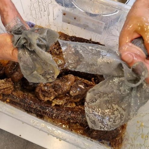 UPCSostenible's tweet photo. 🍯🌼🐝Primera collita de mel de les abelles de la UPC! 

#biodiversitat #UPCSostenible2030 https://t.co/qCcfuIkcgb