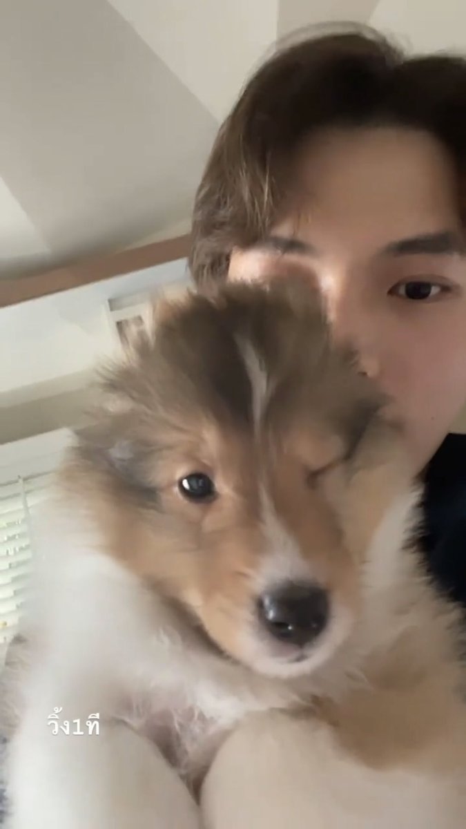 ddals_'s tweet photo. Always daddy’s best boy 🤍

#winmetawin
#bentleycartierO https://t.co/N4ZG1gvAvs