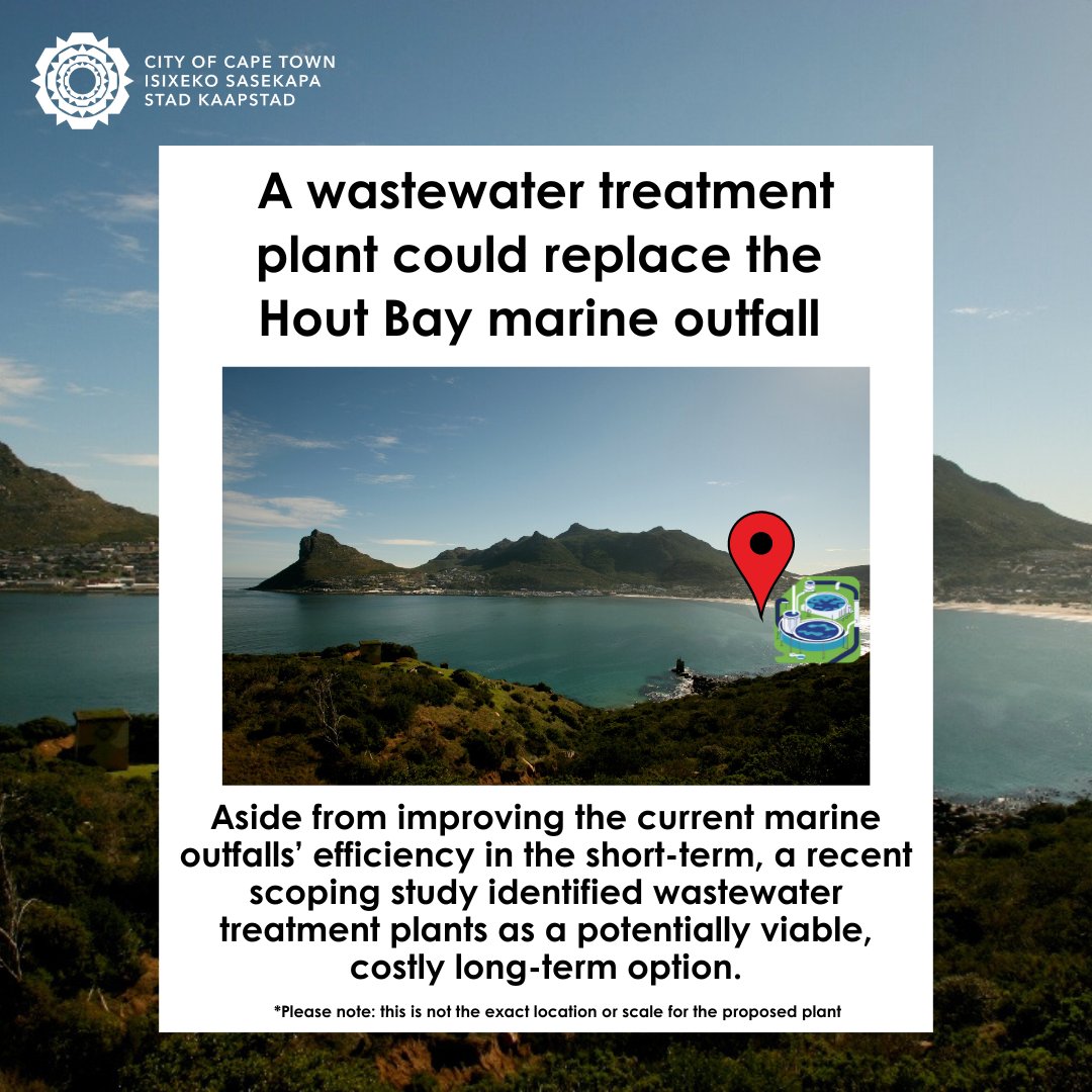 Herbal Remedies Hout Bay: Natural Healing