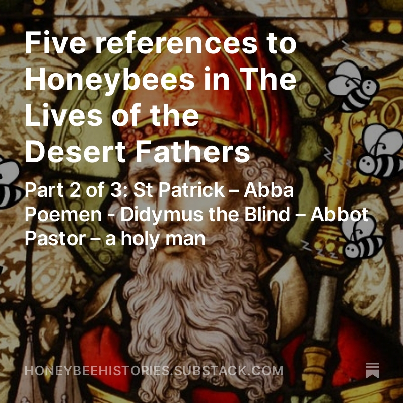MPhillpott's tweet photo. Today’s paid #HoneybeeHistories essay takes another look at #honeybee references in The Lives of the Desert Fathers. In this essay, I examine the references relating to #StPatrick, #AbbaPoemen, #DidymustheBlind, and #AbbotPastor. #Christianity #religion https://t.co/V6trczfZP4 https://t.co/4COeM4opYB