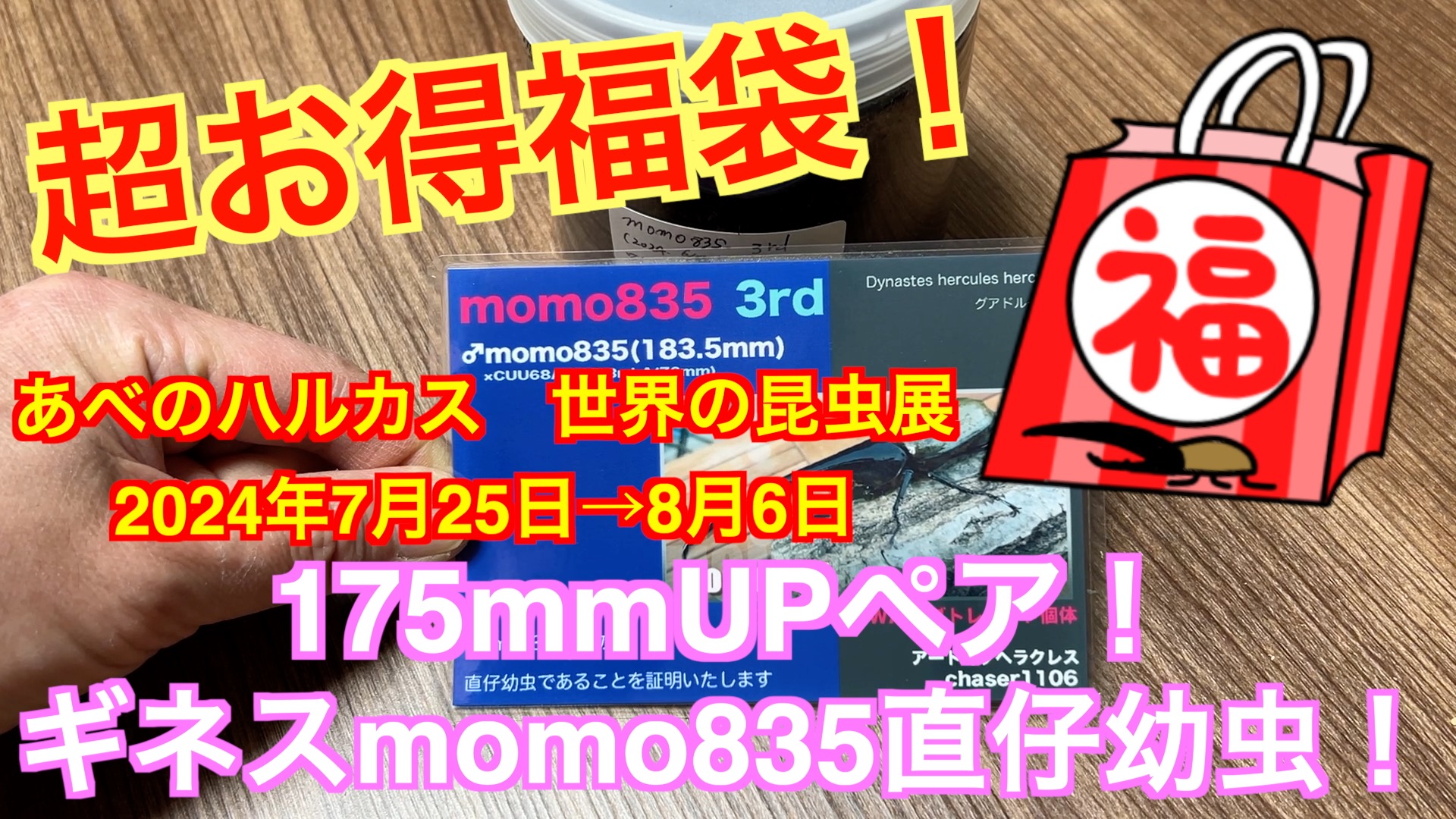 chaser1106 (@chaser1106_SDU) / X