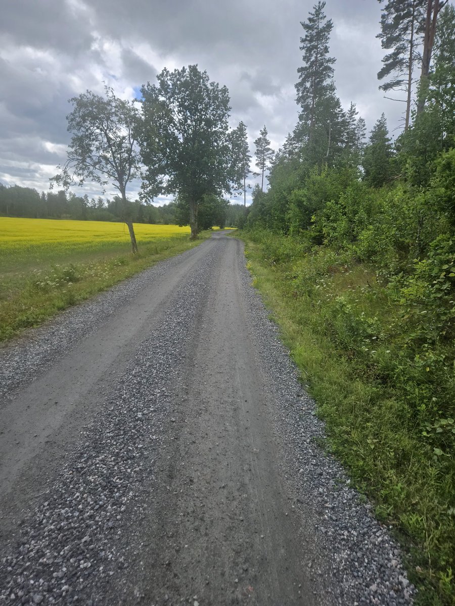 Lars_crona's tweet photo. Tog mig en runda pÄ förmiddagen! Lite rapsfÀlt kvar! #mtb #cykel https://t.co/FtkQp66iKB